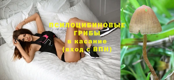 прущая мука Балахна