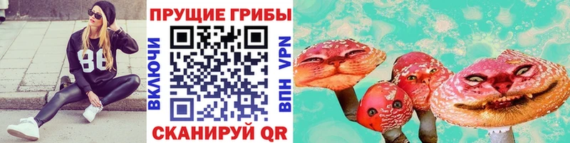 магазин продажи   Суворов  blacksprut ТОР  Псилоцибиновые грибы мухоморы 